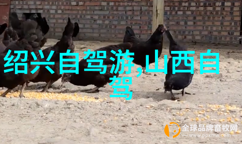 西江千户苗寨白市驿森林公园探秘古色今香的云雾缭绕之旅