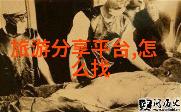 社交分享增添乐趣我可以通过这个app和朋友一起规划行程吗