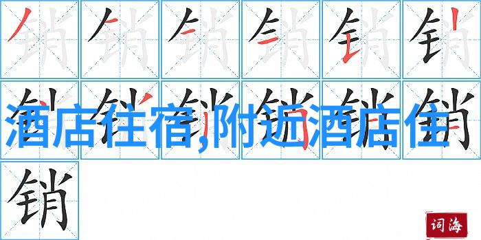 骑行群真的很乱吗 我的惊险体验揭秘那些热闹的共享单车队伍