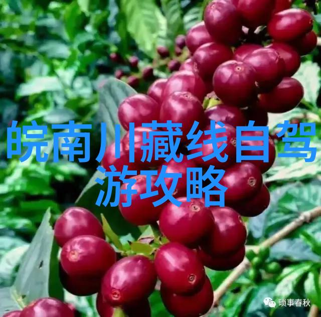 极速骑行4手机版怎么下载-一键解锁极速骑行4手机版下载指南