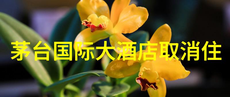 贵州旅游攻略景点大全 - 探秘黔东南的自然奇观与文化遗产