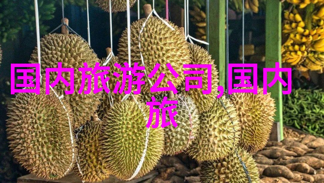 亲历世界奇观仅需翻阅一份国旅旅行社报价价格表探究