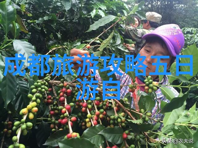 成都重庆5日旅游攻略我来教你怎么玩超详细的成都重庆5天行程