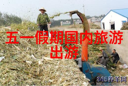 湖北美景探秘武汉东湖风光黄陂古镇文化十堰丹江口水库自然风光