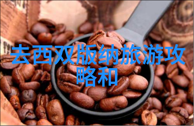 户外探险攀岩徒步与露营的魅力