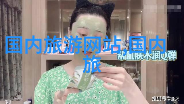 夏泽的重生之旅从废墟到辉煌