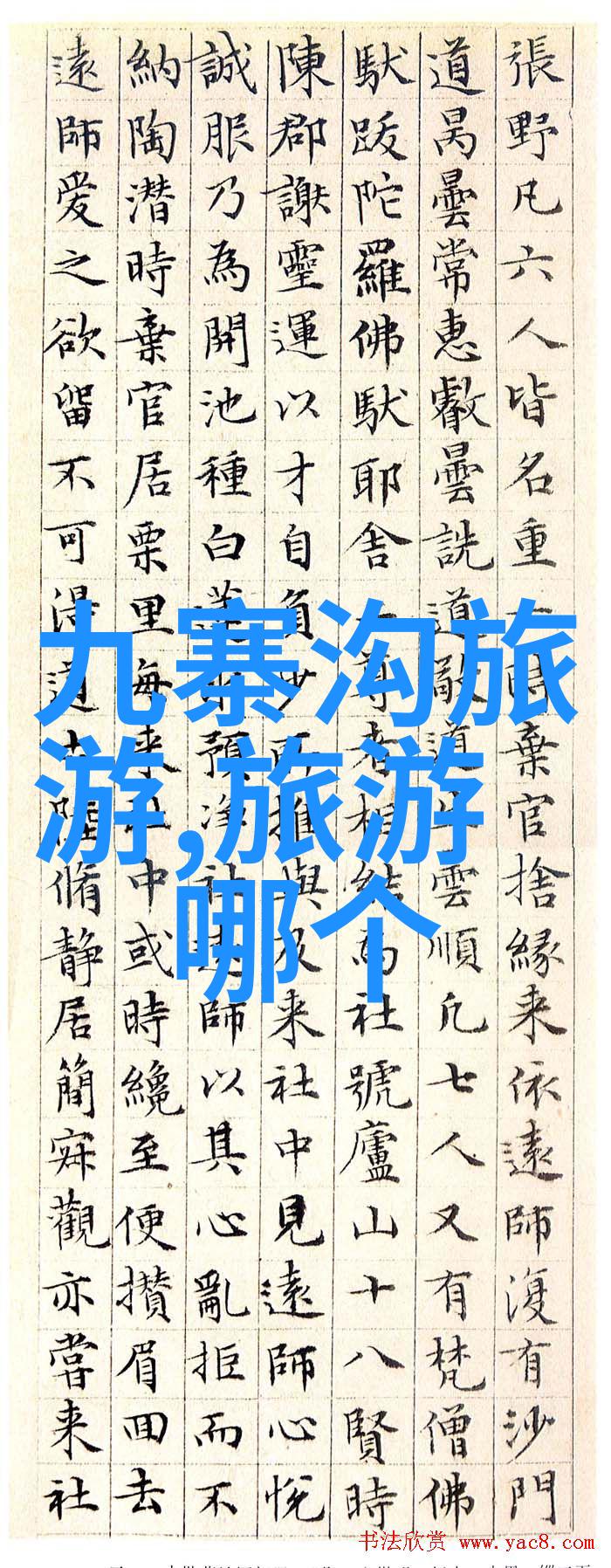 上海美食盛宴品味名小吃的风采与寻踪