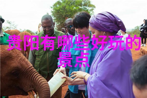 旅行社最怕什么投诉才会退款亲自问过他们了