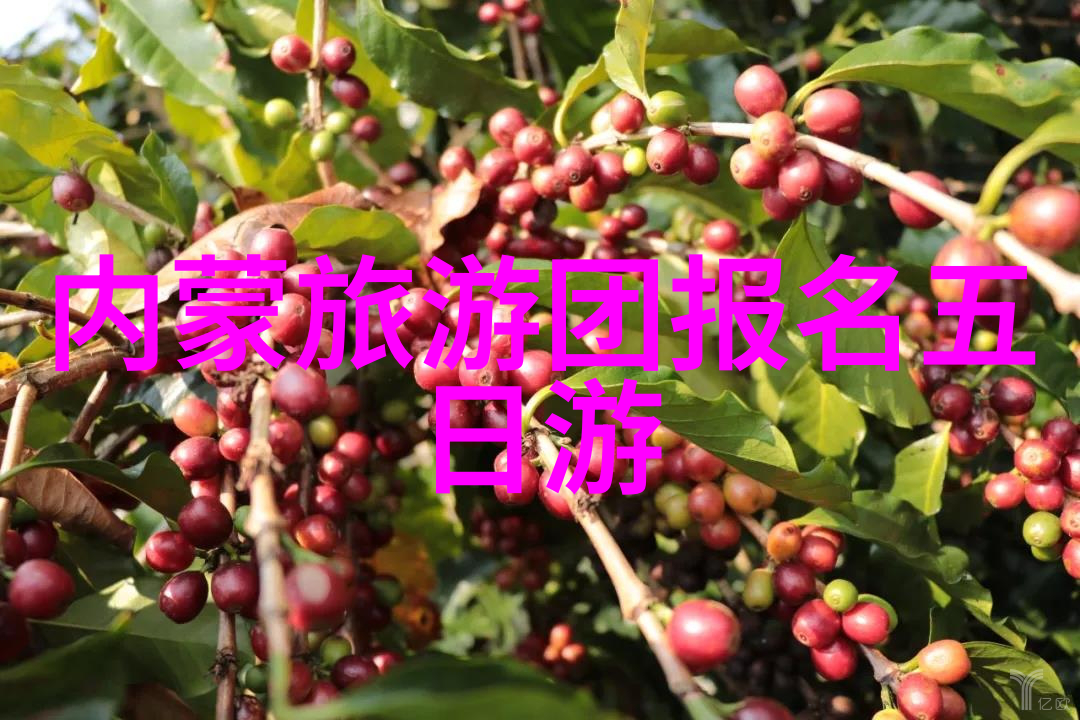 如何平衡旅行时间与活动安排以避免疲劳