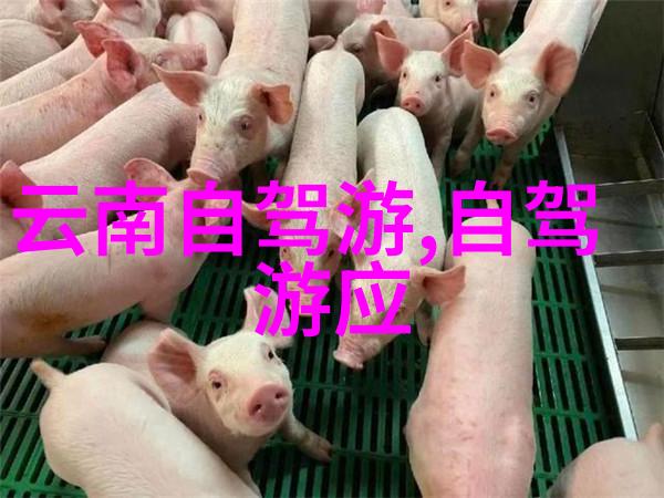 威海旅游攻略必去景点亲测这10个超值得一游的地方