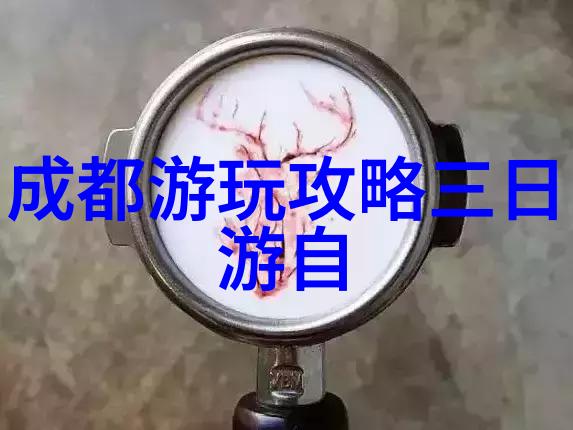 徒步穿越奇观在张家界大峡谷中寻找未知