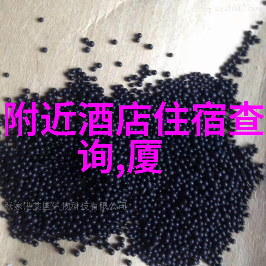 主题我带你去探索各地特色美食小吃的奇妙世界