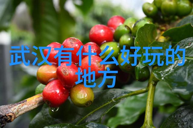 自驱穿梭在印度次大陆追逐生命爱情与传奇故事