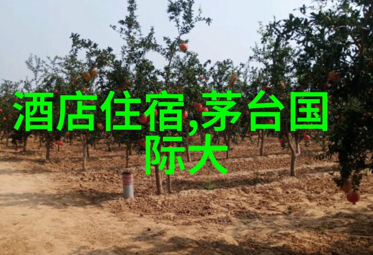 郑州最有名夜市小吃街品味风味与热闹非凡