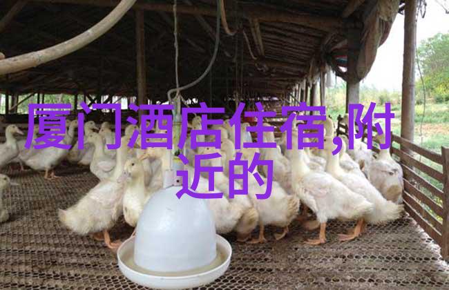 中国旅游景点推荐排名国内最佳旅行目的地
