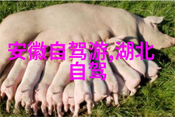 广州自行车之旅骑行论坛中的共享与探索
