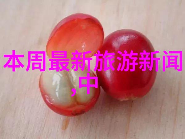 公路之旅骑行的双刃剑好处与坏处的探究