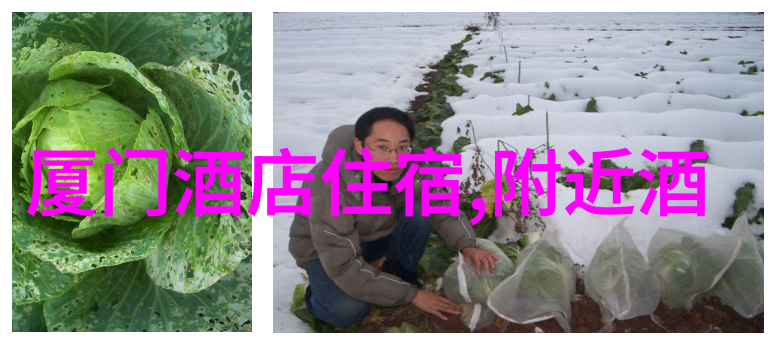 探秘达瓦更扎揭秘柴埠溪的迷人故事