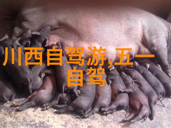 晚上睡不着偷偷看B站-夜深人静的网络流浪一段关于B站的无声叙述