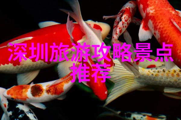 三亚民宿旅行指南岛屿风情与舒适住宿体验