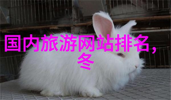 美国之美探索黄金海岸加利福尼亚州南方的热情佛罗里达州大峡谷的奇迹亚利桑那州与自由女神的怀抱纽约市