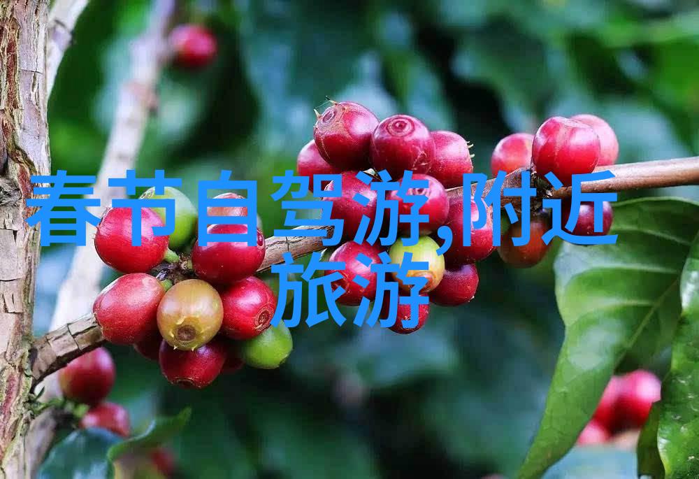 不烧钱也能大放异彩发现那些为旅行者量身定制的好玩且便宜的小众目的地