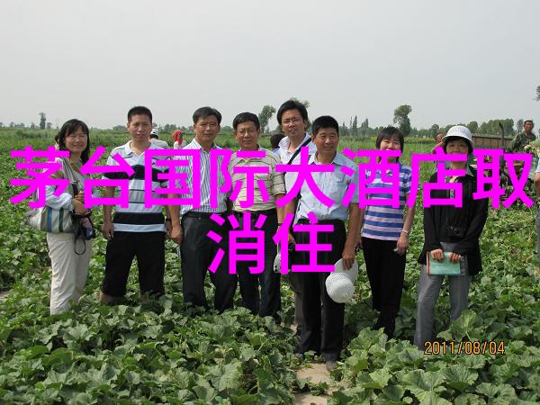探索四川美成都私人导游推荐揭秘天府之国独特魅力