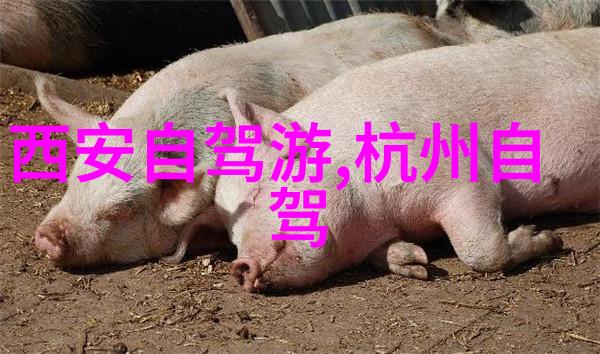 在张家界可以尝试那些特色地方小吃和饮品吗它们有什么特点呢