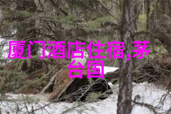 丽江旅游指南攻略与费用详解