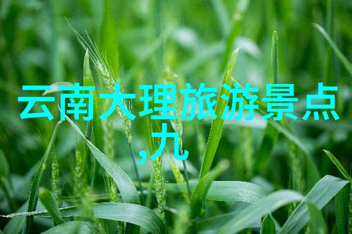 重庆旅游必去景点攻略探索千年古城的魅力