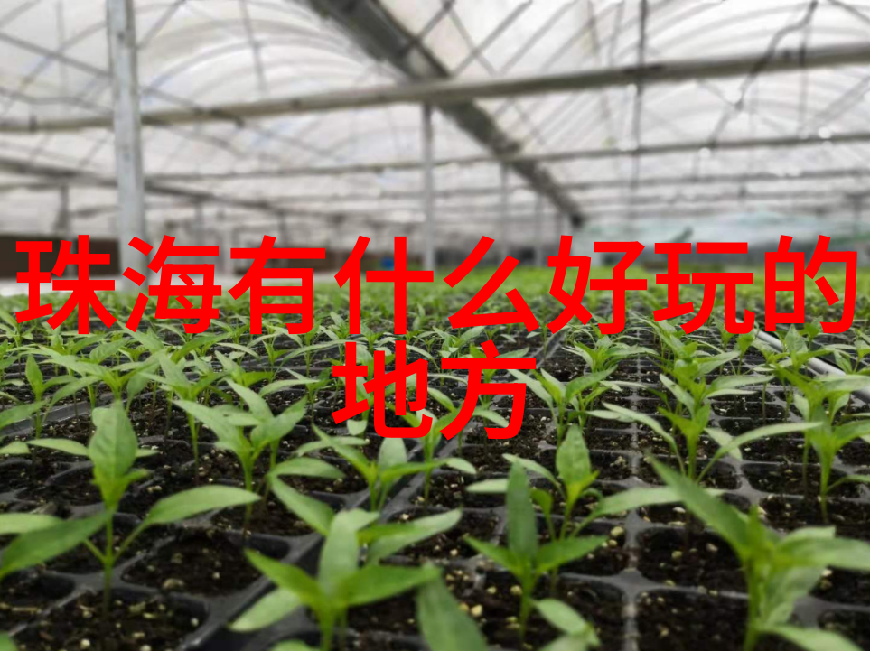 春暖佳节游寻找冬不凛寒夏不炎热的温馨避风港