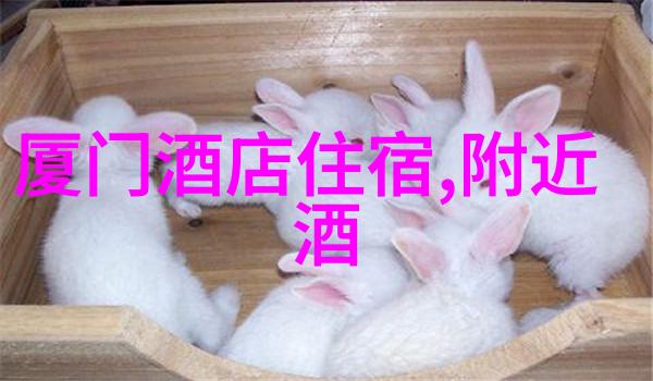 300字的时光机器重返童年的乐趣与挑战