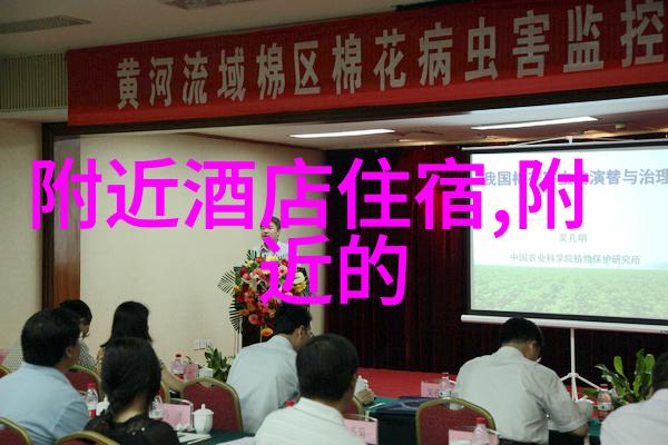 小学生轻松做的健康水果塔