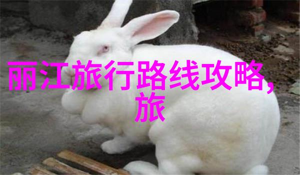 探秘美景2-3天短途旅行必去目的地推荐