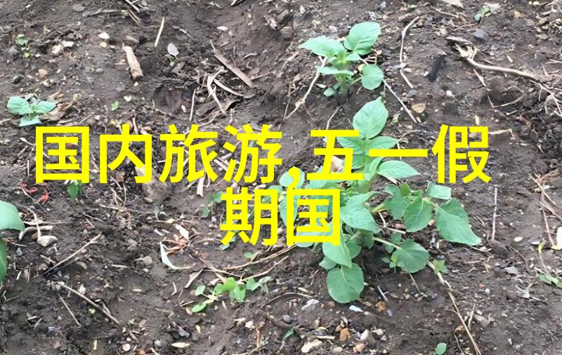 成都四天游梦幻之旅的织梦者