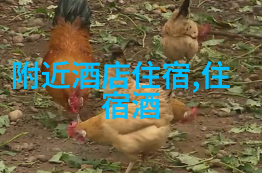 色达绘景百望山森林公园