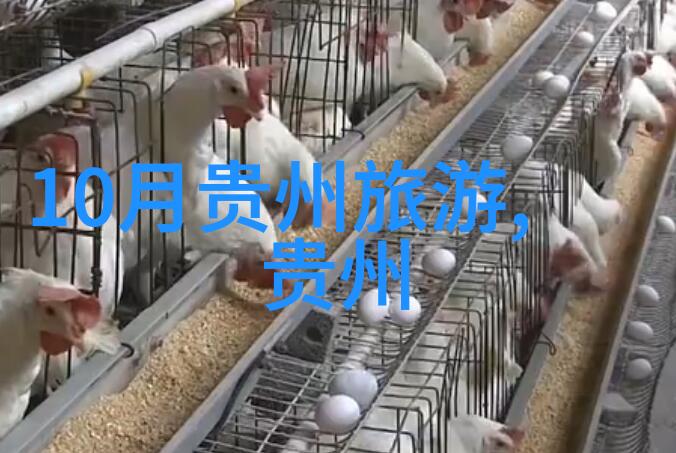 世界各地最佳旅游目的地全球最美丽的景色