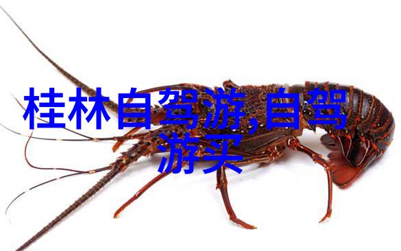骑行技巧全解让你成为自行车界的高手