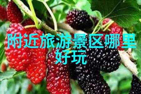 成都本地人爱去的小吃街 - 香辣传统探秘成都最受欢迎的街头美食