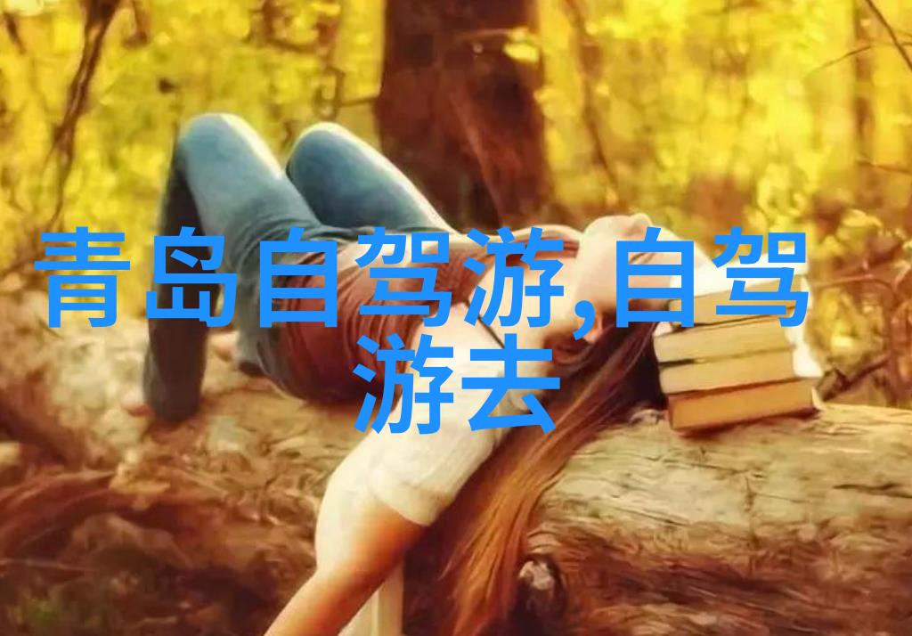 美丽海岸线探索大自然的艺术品