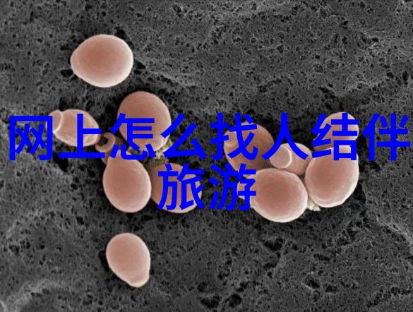 宝宝夹心拉丝小天才免费观看视频剖析