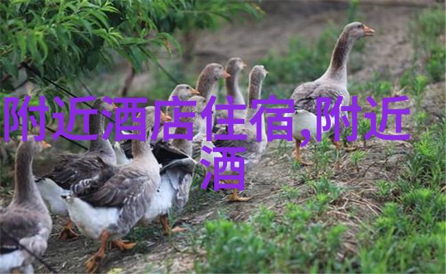 冬季度假胜地推荐寻找性价比高的冬日逃离目的地