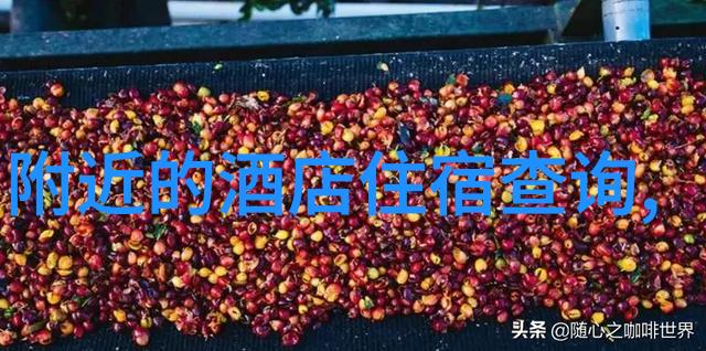 时光倒流回忆那些年我们的自驾记忆