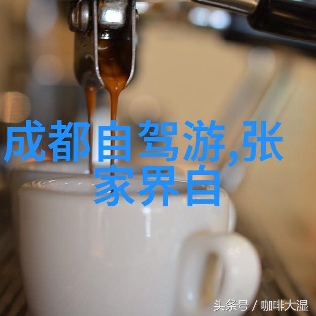 穿越时空的画卷日本京都行记