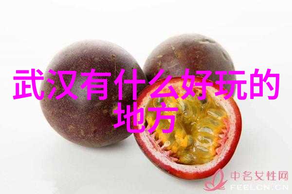追逐风景骑行生活探索自由与自我