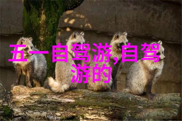 贵州旅游景点推荐-探索云南之南贵州美丽风光的旅行指南
