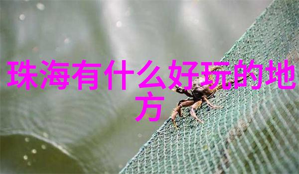 春暖花开的美好时光探索4月中旬到5月的旅行乐趣