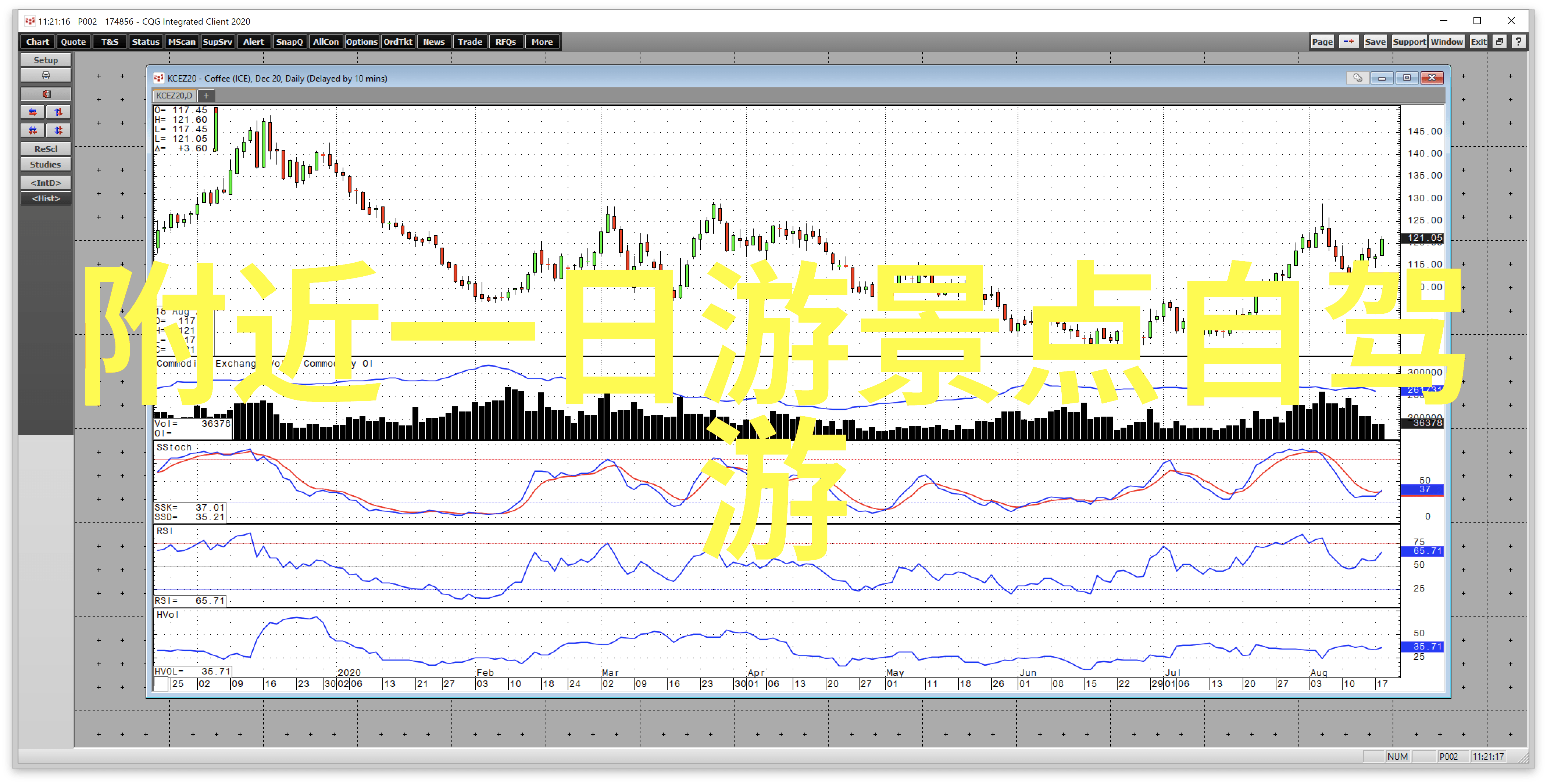 游记600字作文初二暑假我的夏日冒险从小镇到海边