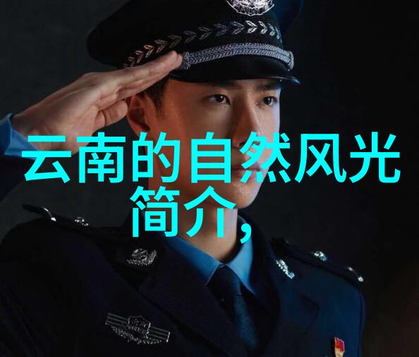 如何选择合适的港澳证签注服务一年两次与三个月两次的出国旅游差异解析