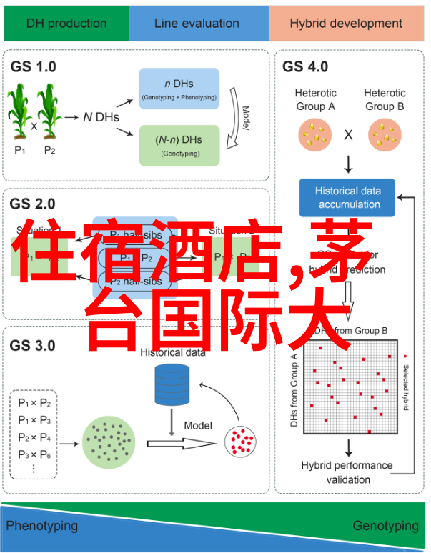 乌镇古韵漫步揭秘这座水乡的美食与夜景